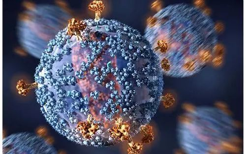 获得性免疫缺陷综合征(AIDS)是由人类免疫缺陷病毒(HIV)所引起的传染病